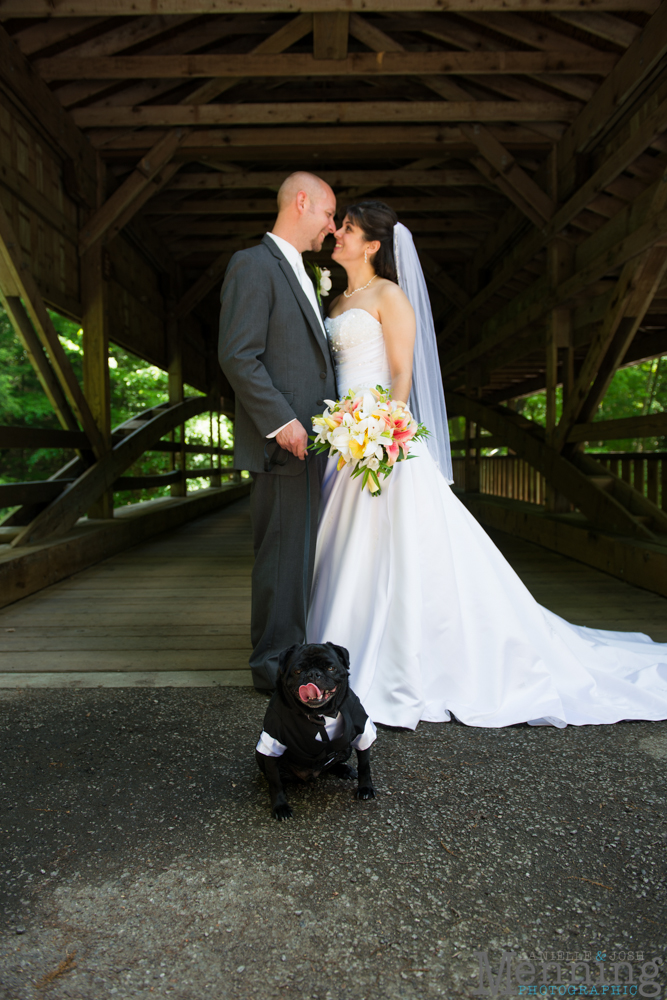 pug in a wedding in a tux