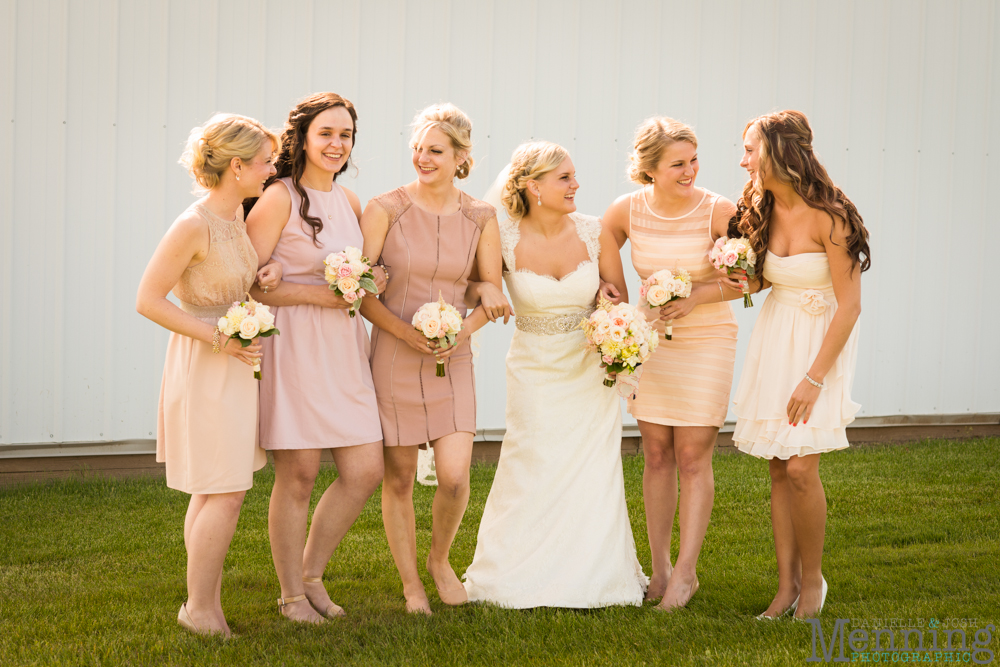 Jamie_Tyler_The-Links-at-Firestone-Farms-Youngstown-OH-Wedding-Photography_0037