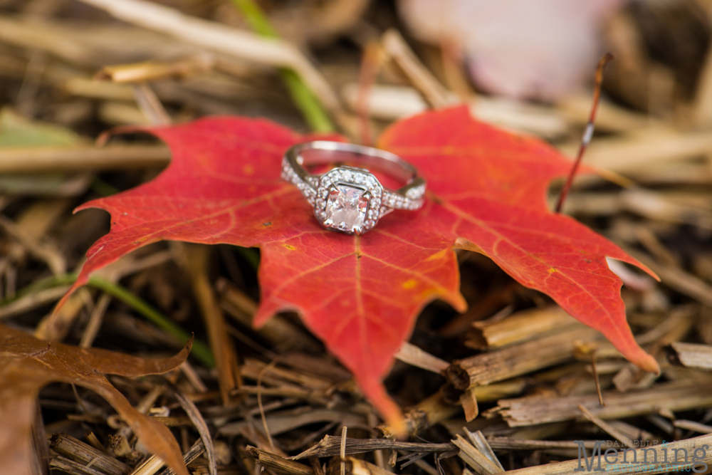 engagement ring on fall leaf