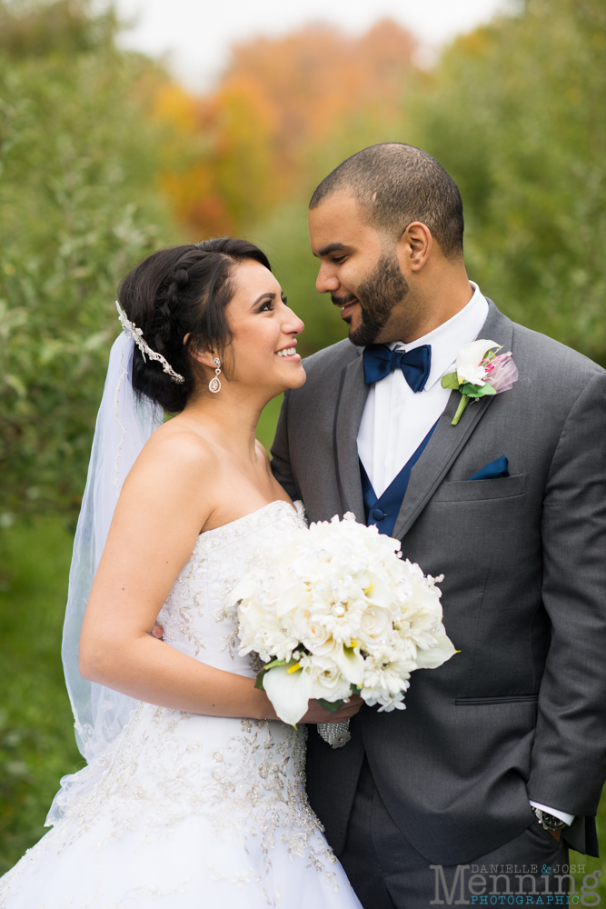 Christina & Nicholas Wedding - Stambaugh Auditiorium - White House Fruit Farm - Mill Creek Park - Blue Wolf Maronite Center - Youngstown, Ohio Wedding Photographers_0044