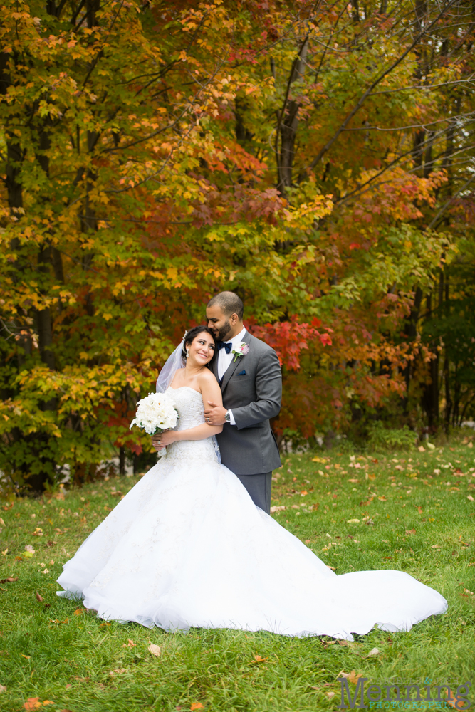 Christina & Nicholas Wedding - Stambaugh Auditiorium - White House Fruit Farm - Mill Creek Park - Blue Wolf Maronite Center - Youngstown, Ohio Wedding Photographers_0050