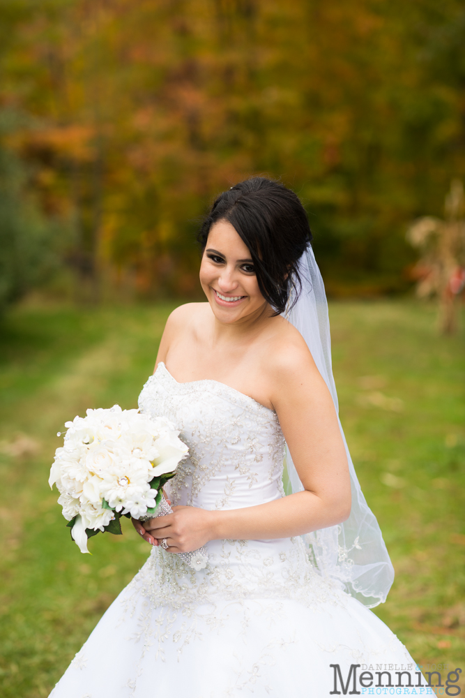 Christina & Nicholas Wedding - Stambaugh Auditiorium - White House Fruit Farm - Mill Creek Park - Blue Wolf Maronite Center - Youngstown, Ohio Wedding Photographers_0052