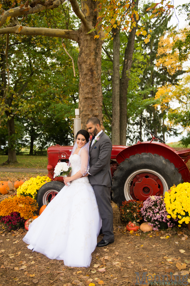 Christina & Nicholas Wedding - Stambaugh Auditiorium - White House Fruit Farm - Mill Creek Park - Blue Wolf Maronite Center - Youngstown, Ohio Wedding Photographers_0055