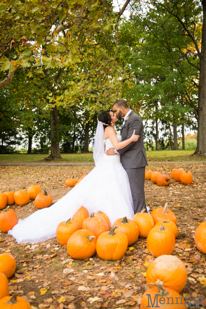 Christina & Nicholas Wedding - Stambaugh Auditiorium - White House Fruit Farm - Mill Creek Park - Blue Wolf Maronite Center - Youngstown, Ohio Wedding Photographers_0057