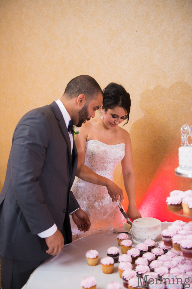 Christina & Nicholas Wedding - Stambaugh Auditiorium - White House Fruit Farm - Mill Creek Park - Blue Wolf Maronite Center - Youngstown, Ohio Wedding Photographers_0082