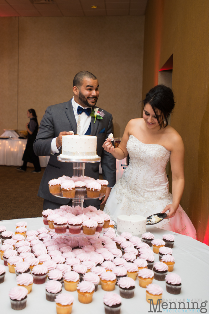 Christina & Nicholas Wedding - Stambaugh Auditiorium - White House Fruit Farm - Mill Creek Park - Blue Wolf Maronite Center - Youngstown, Ohio Wedding Photographers_0083