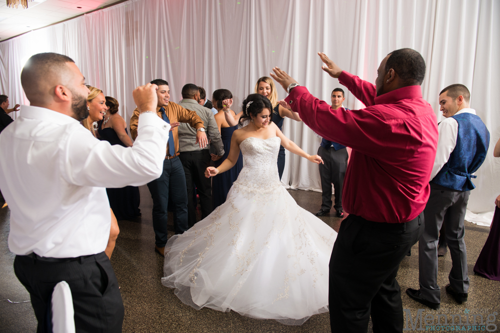 Christina & Nicholas Wedding - Stambaugh Auditiorium - White House Fruit Farm - Mill Creek Park - Blue Wolf Maronite Center - Youngstown, Ohio Wedding Photographers_0094