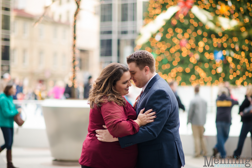 Pittsburgh engagement photos