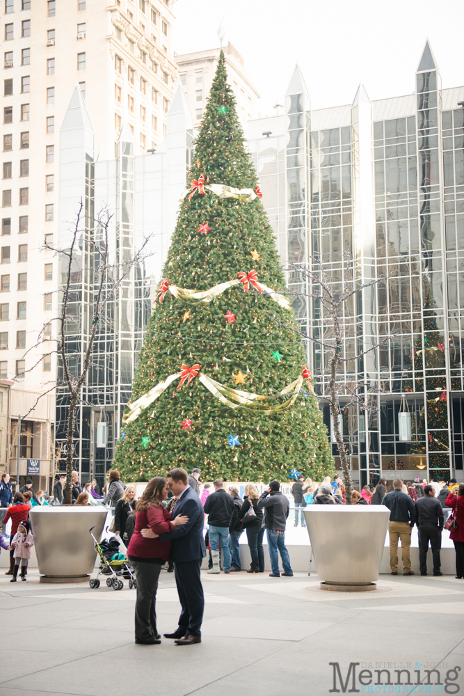 Pittsburgh engagement photos