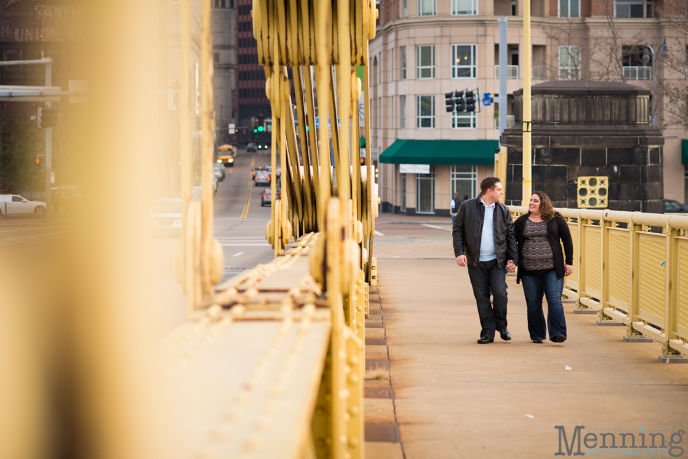 Pittsburgh engagement photos