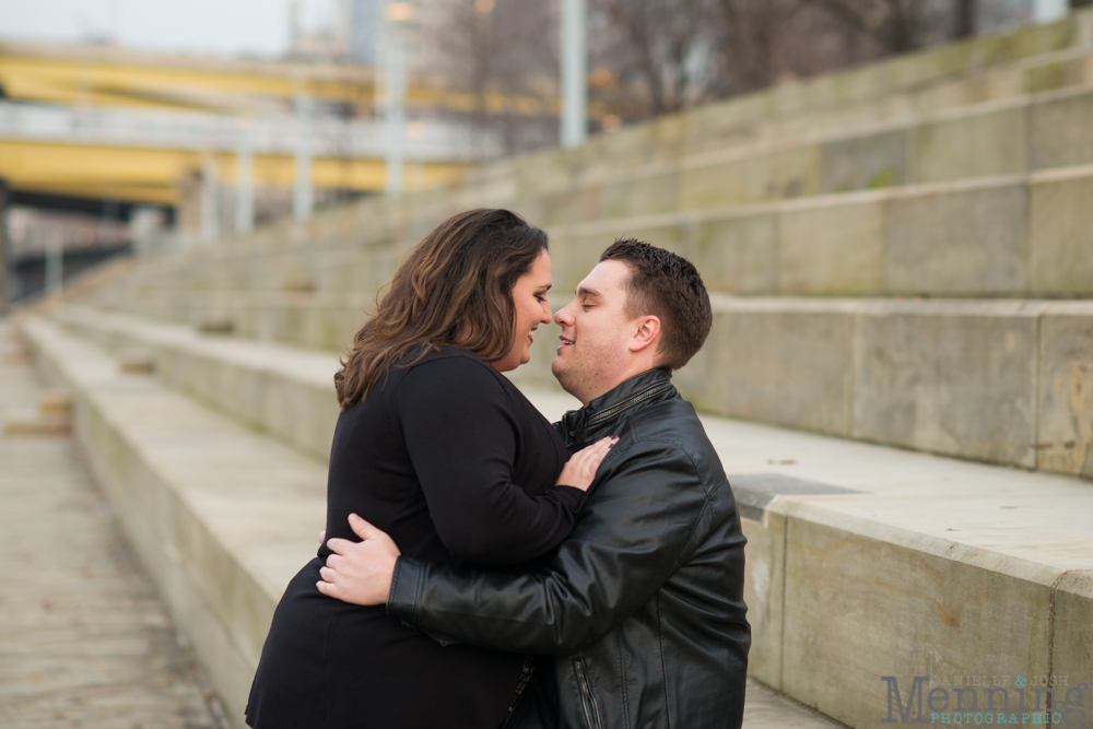 Pittsburgh engagement photos