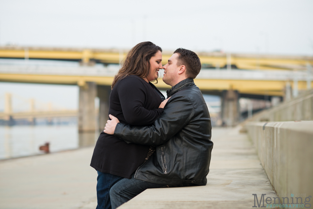 Pittsburgh engagement photos