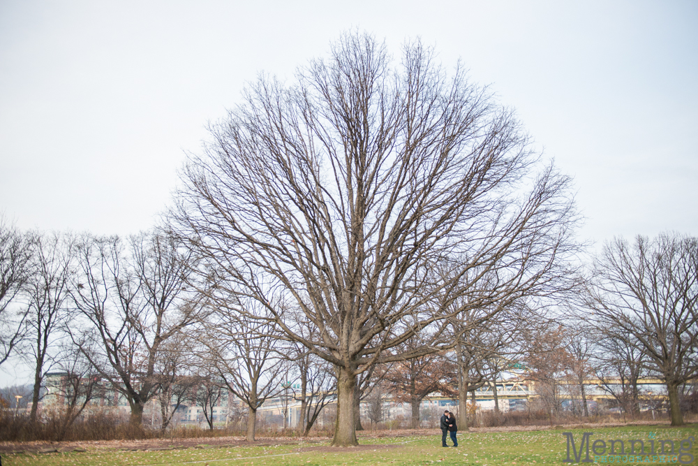 Pittsburgh engagement photos