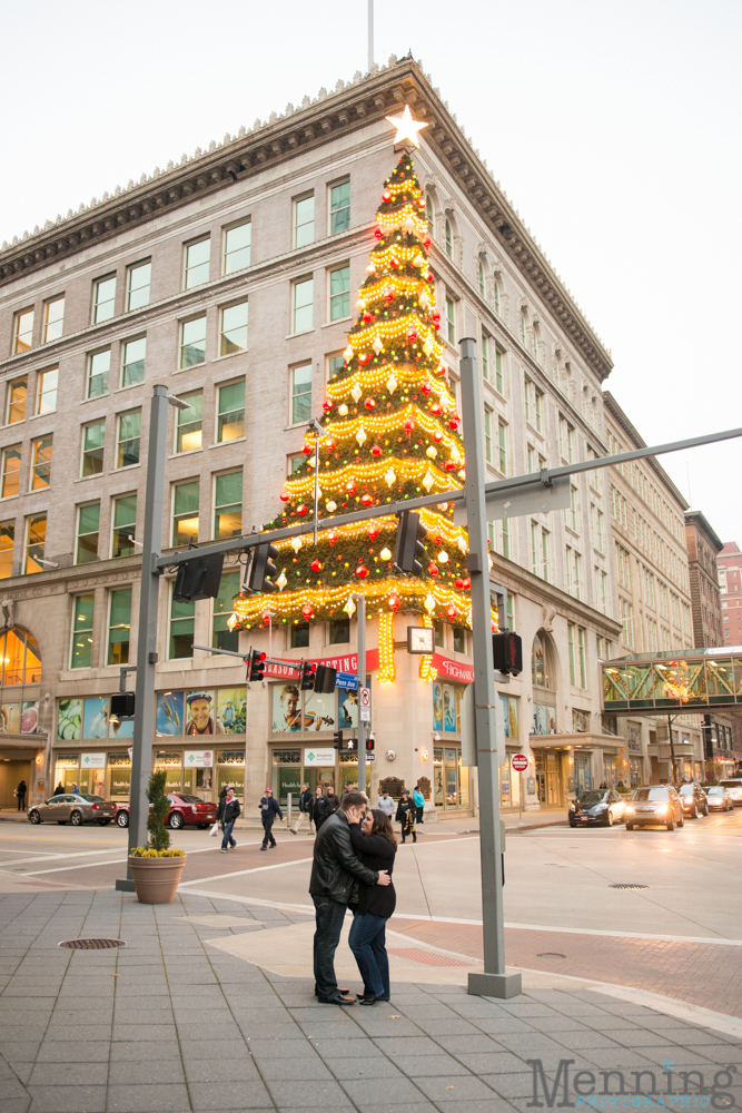 Pittsburgh engagement photos