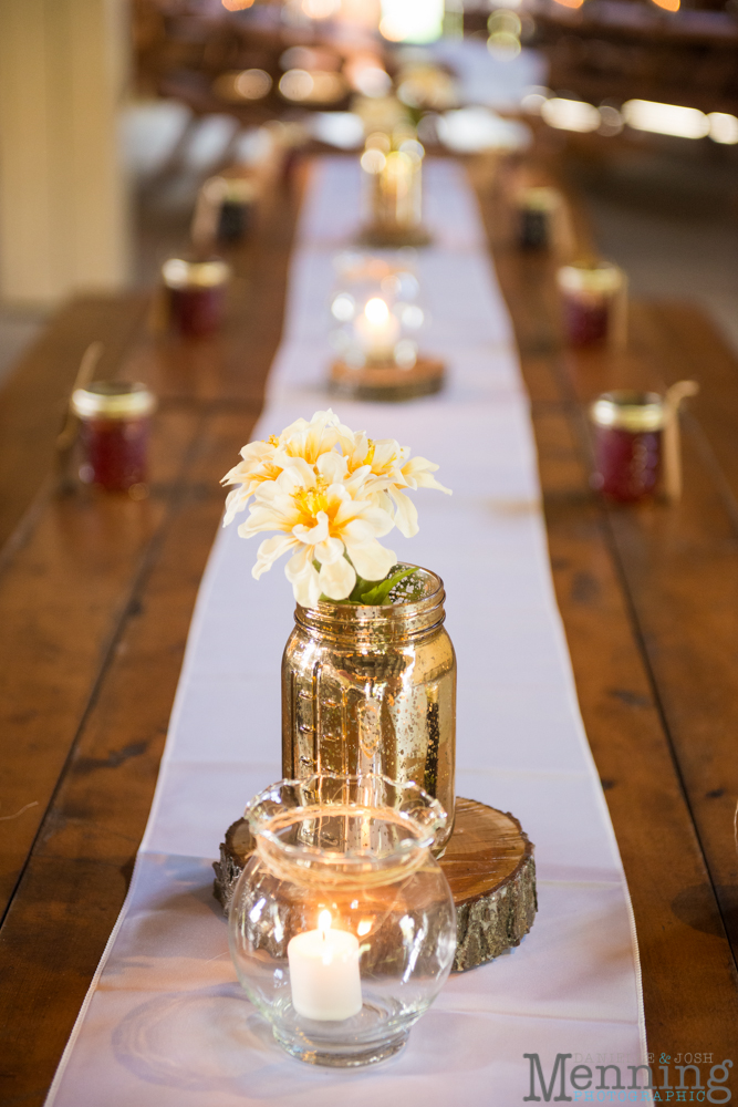 Richelle & Ryan Wedding - St. John Episcopal Church - Sharon, PA - Chesnut Ridge Park - Hubbard, Ohio - Youngstown, Ohio Wedding Photographers_0047