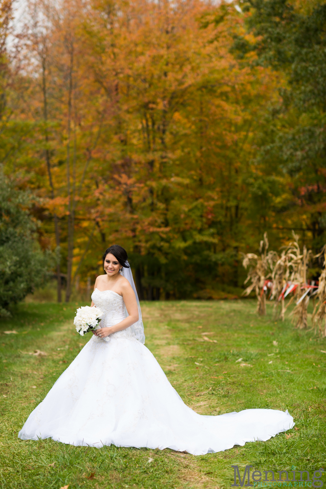 Christina & Nicholas Wedding - Stambaugh Auditiorium - White House Fruit Farm - Mill Creek Park - Blue Wolf Maronite Center - Youngstown, Ohio Wedding Photographers_0051