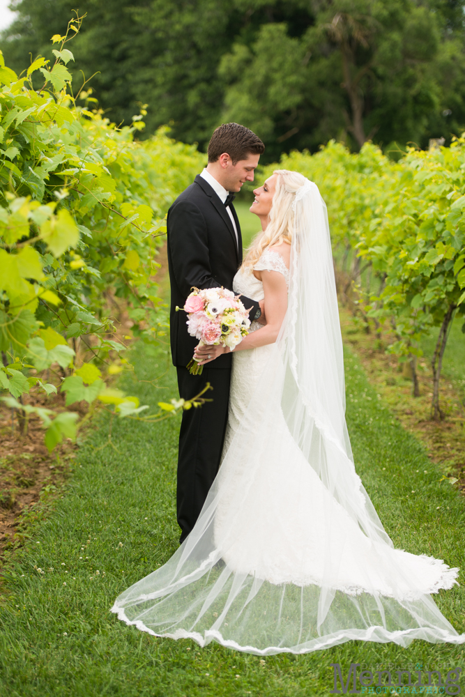 Gervasi Vineyard wedding