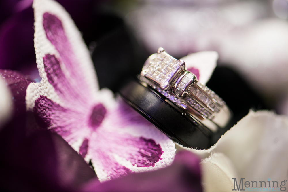Kelsey & Cliff Wedding - Butler Institute of American Art - Ciminero's Baquet Centre - Youngstown, Ohio Wedding Photographers_0073
