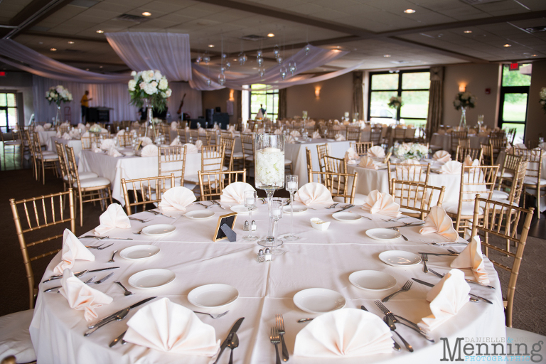 The Lake Club Of Ohio Boardman Wedding Reception Venue Menning