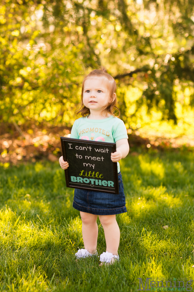 Youngstown family photography