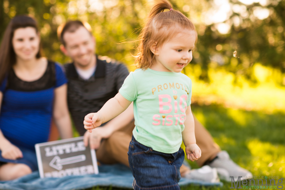 Youngstown family photography