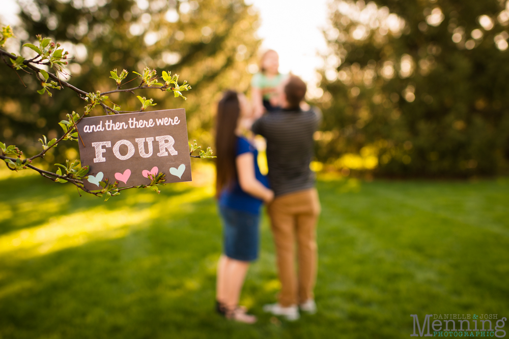 Youngstown family photography