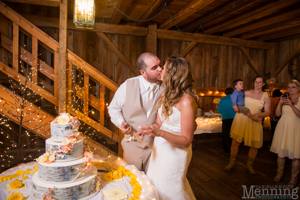 reception The Barn & Gazebo rustic wedding