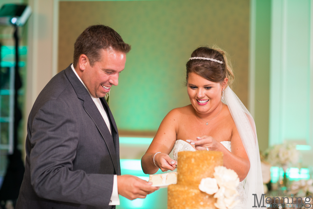 Youngstown wedding photographer