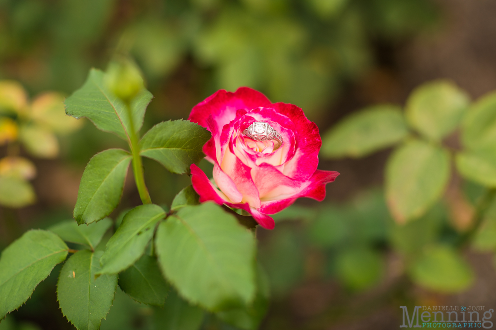 Mill Creek Park engagement photos