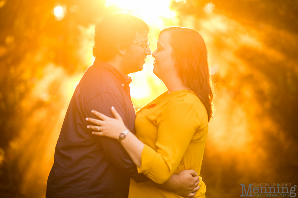 Mill Creek Park engagement photos