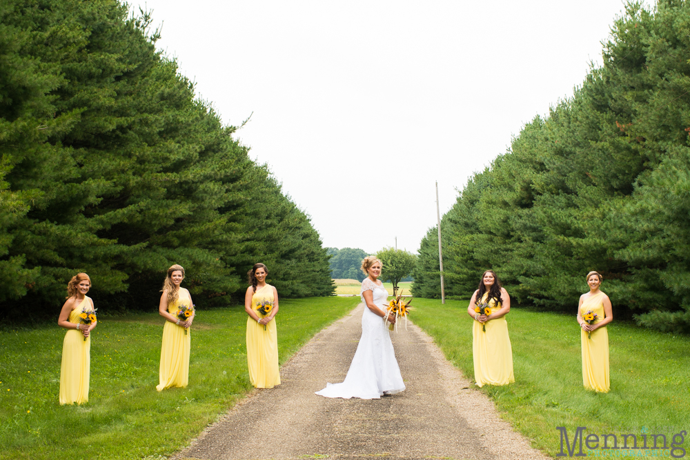 The Barn & Gazebo weddings