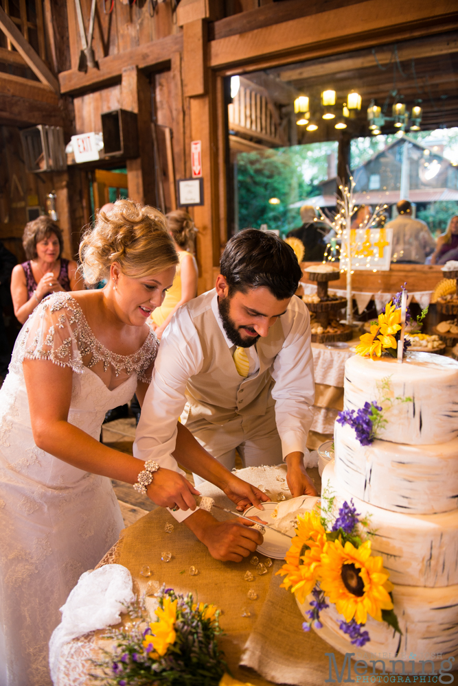 wedding photography at The Barn & Gazebo Salem Ohio