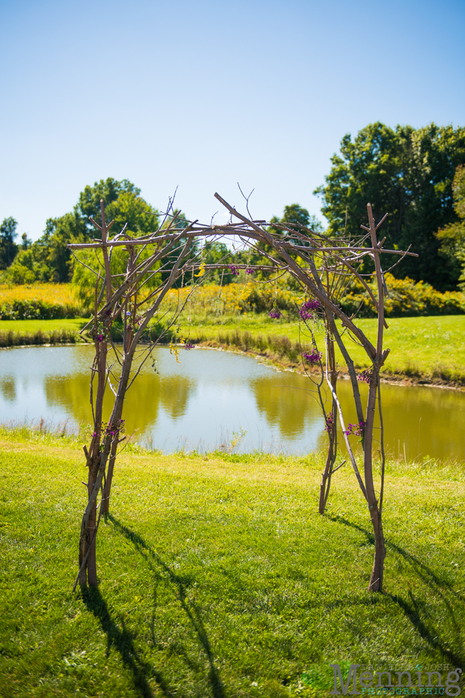 backyard wedding Columbiana Ohio