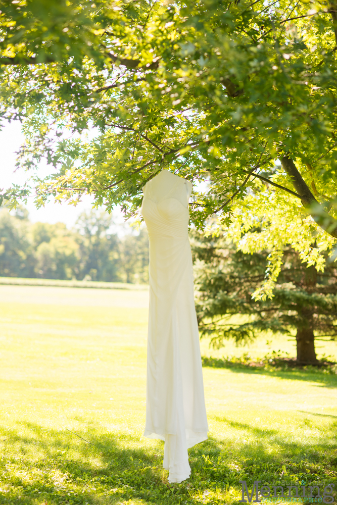 backyard wedding Columbiana Ohio