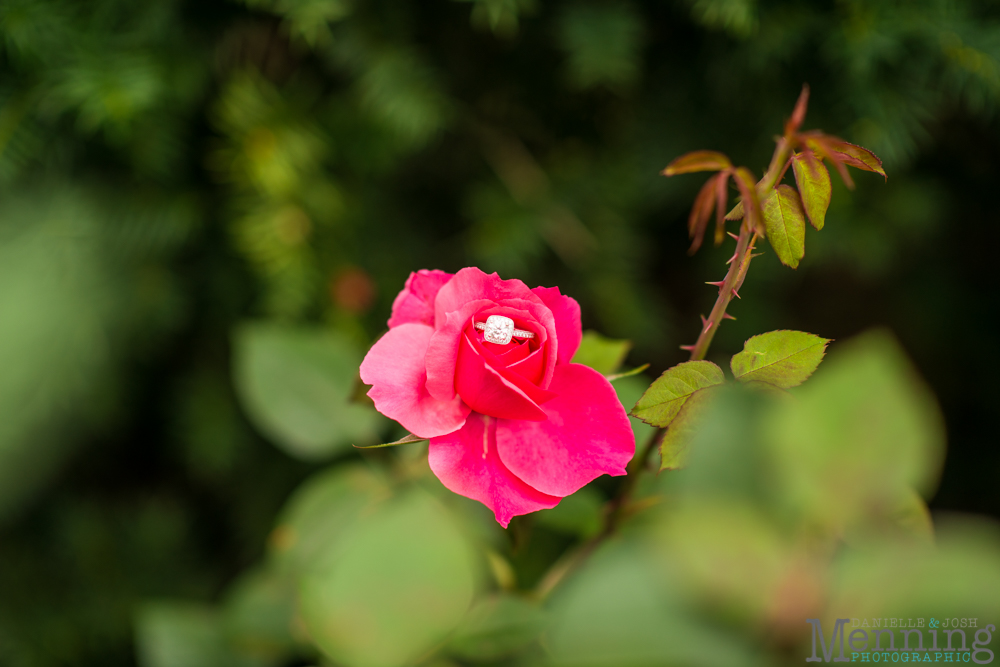 Youngstown Ohio wedding photography