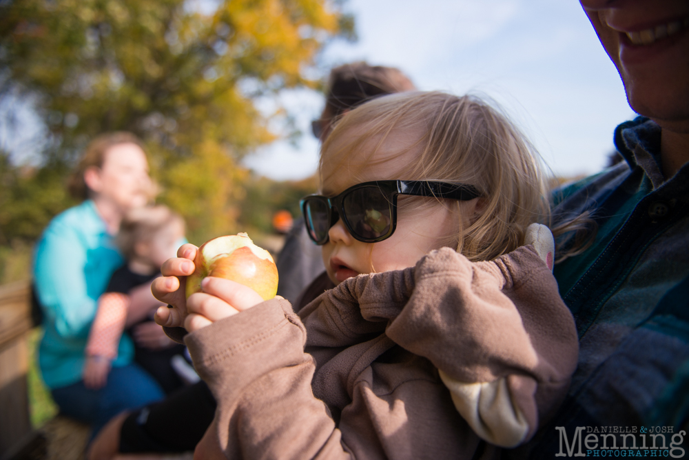 columbiana ohio wedding photographer