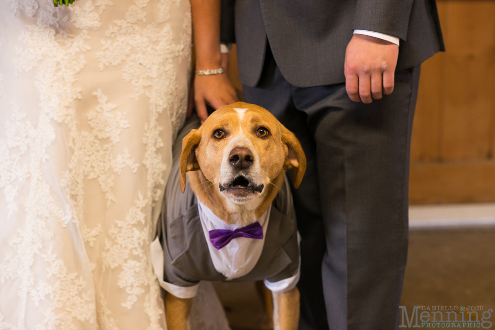 firestone farms wedding columbiana