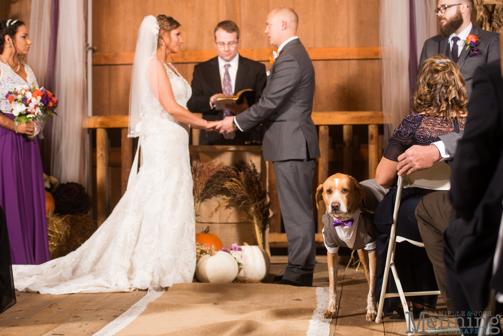 firestone farms wedding columbiana