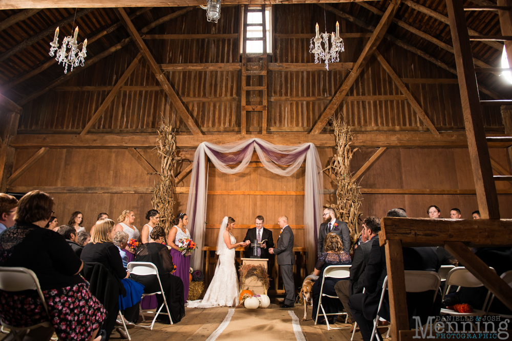 firestone farms wedding columbiana