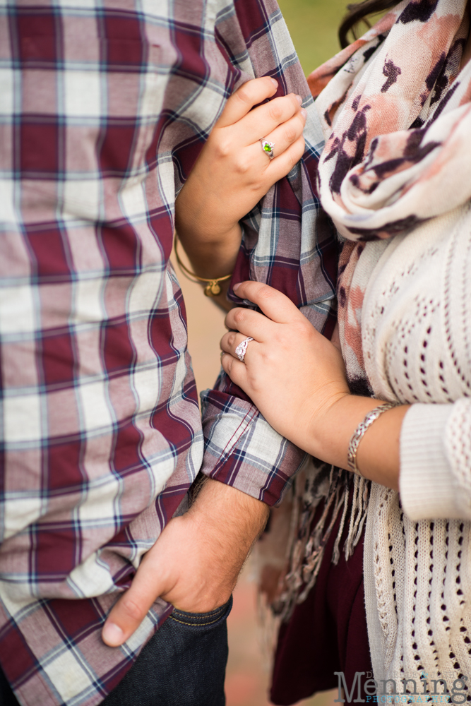 Canfield engagement photos