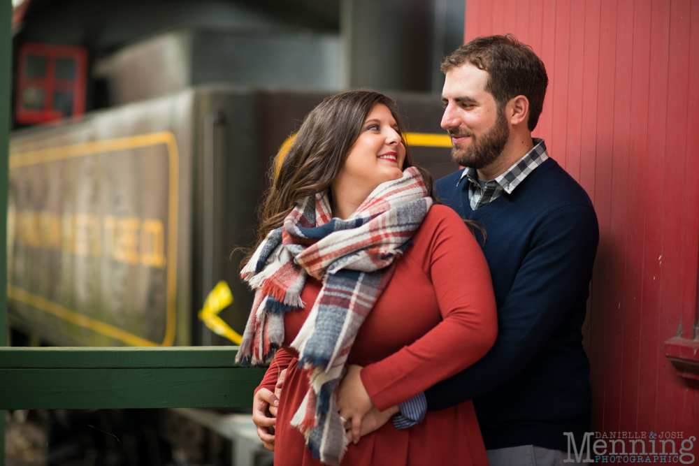 Canfield engagement photos