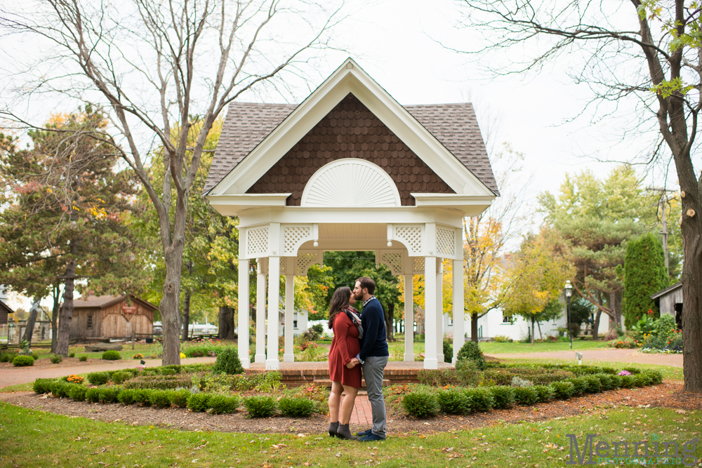 Canfield engagement photos