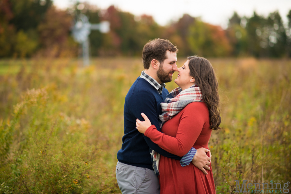 Canfield engagement photos