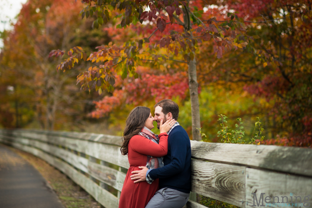 Canfield engagement photos