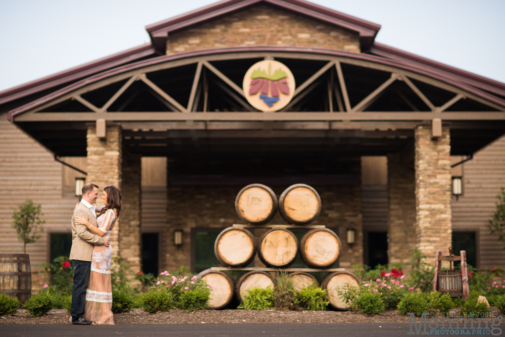 Youngstown engagement photos