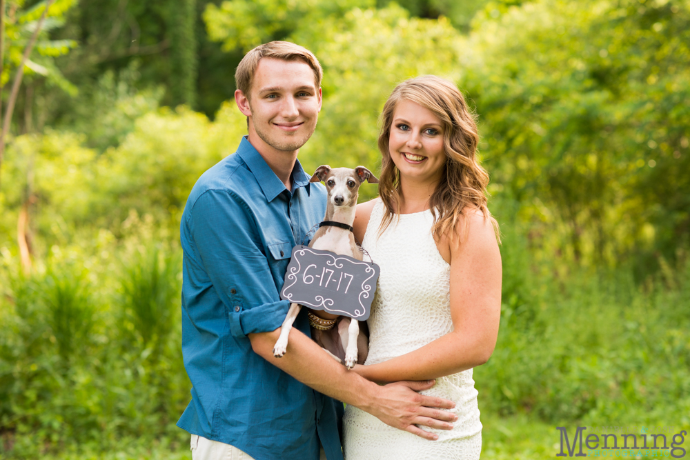 Youngstown engagement photos