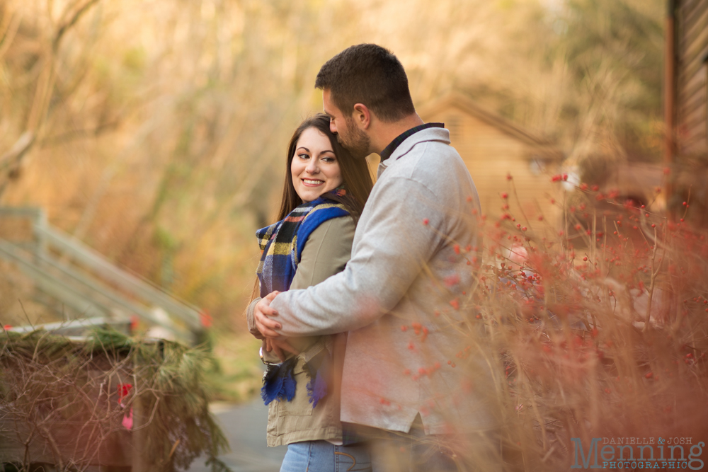 Youngstown engagement photos