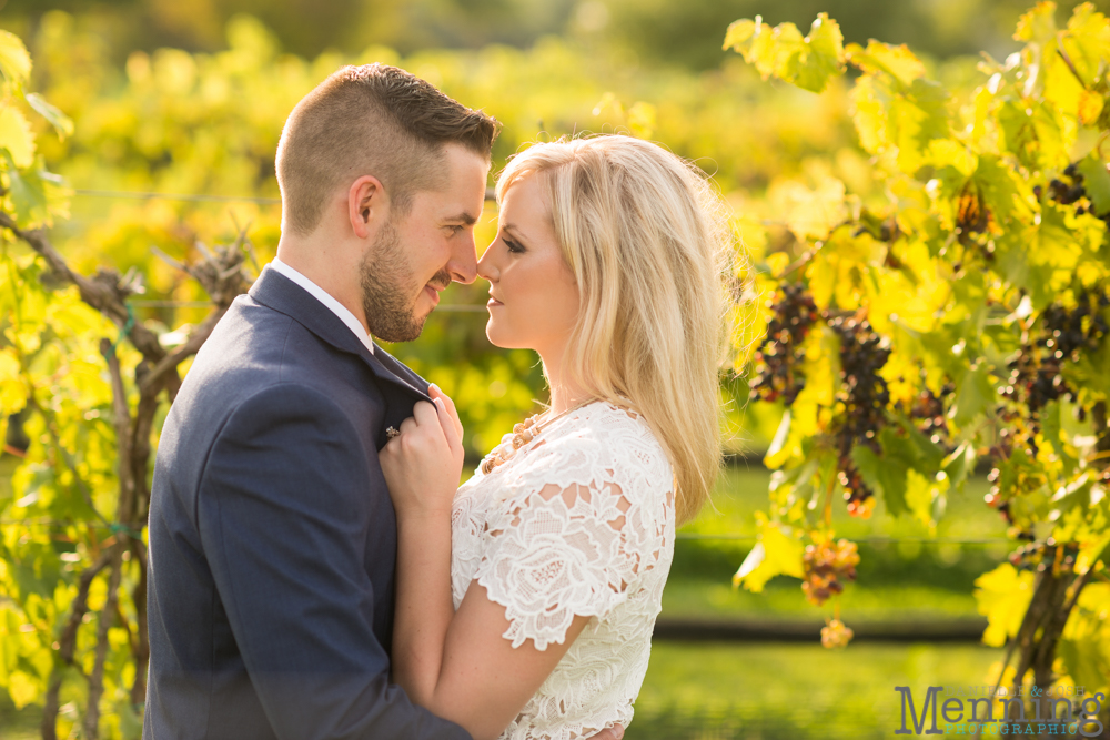 Youngstown engagement photos