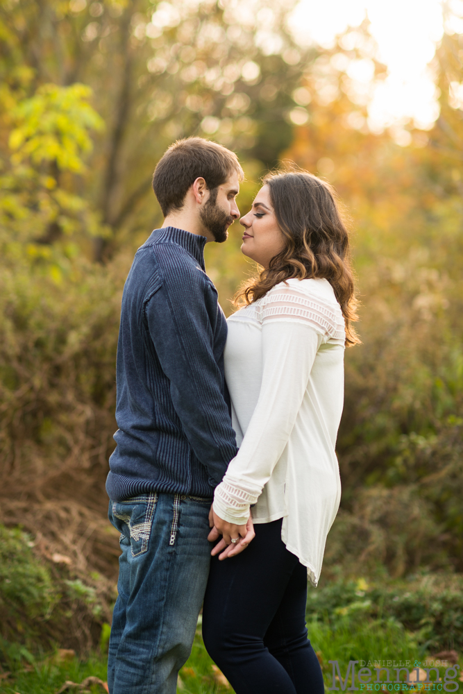 Youngstown engagement photos