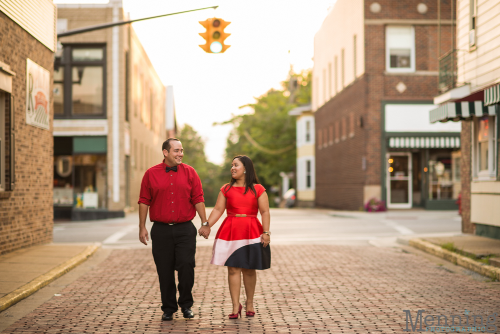 Youngstown engagement photos